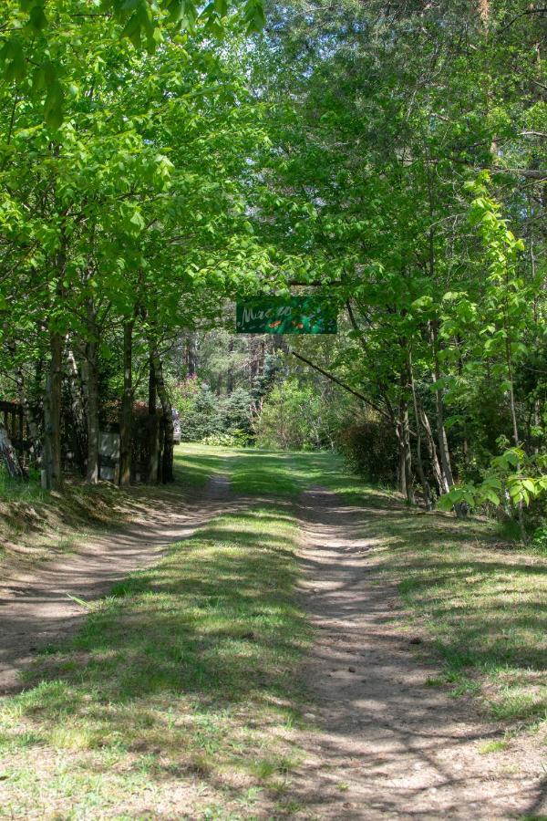 Gospodarstwo Agroturystyczne Nad Jeziorem Wsrod Lasow Lipnica  Exterior foto